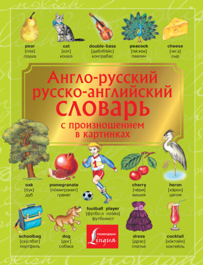 Англо-русский. Русско-английский словарь с произношением в картинках [Цифровая книга]