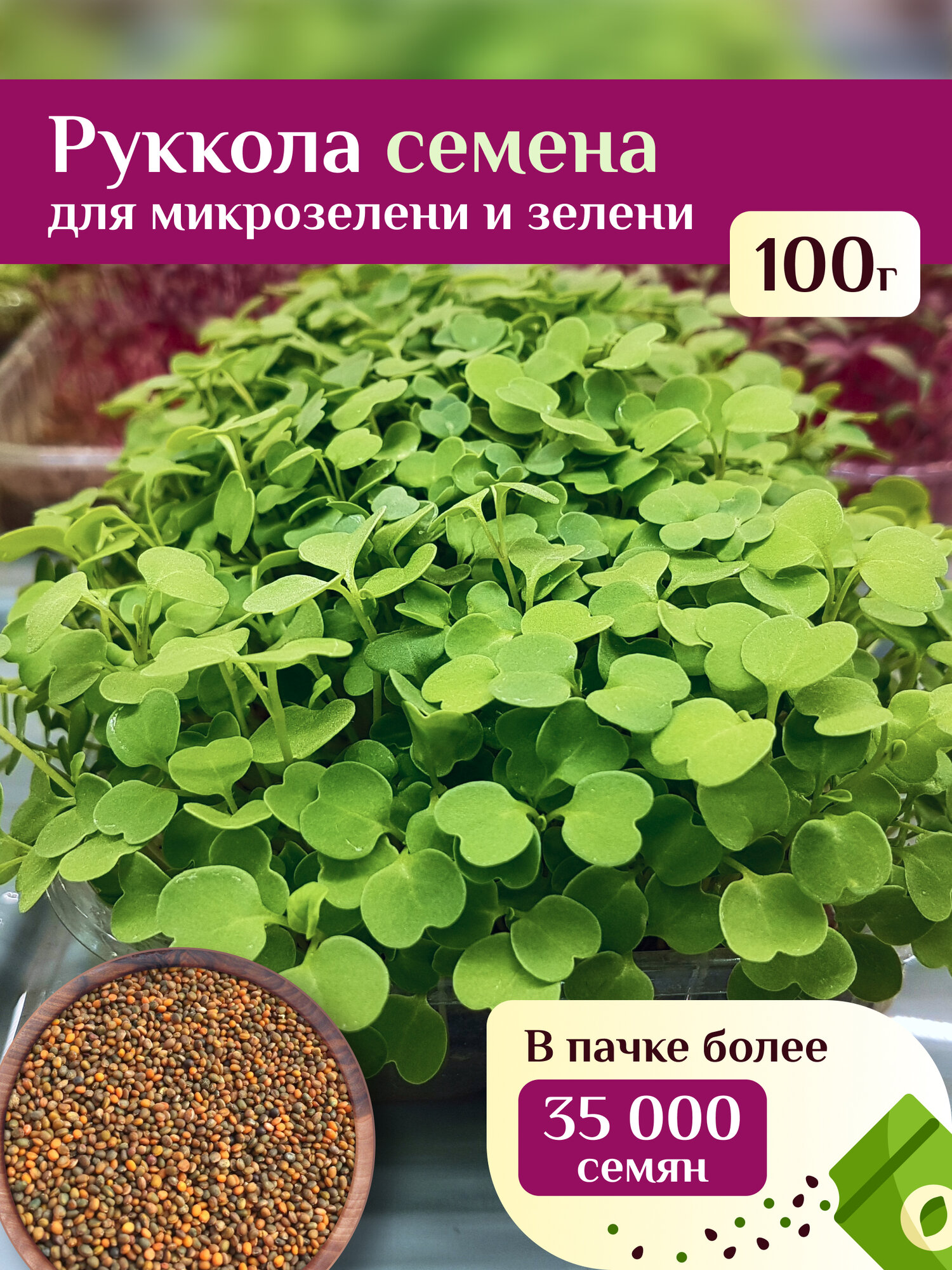 Руккола семена для микрозелени и зелени Ильинские проростки 100г