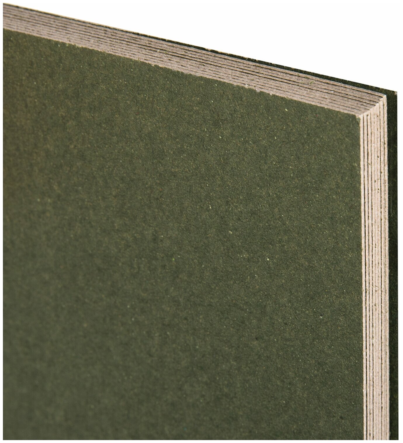 Альбом для пастели Brauberg картон зеленый тонированный, 630 г/м2, 207*297 мм, 10 листов (105920)
