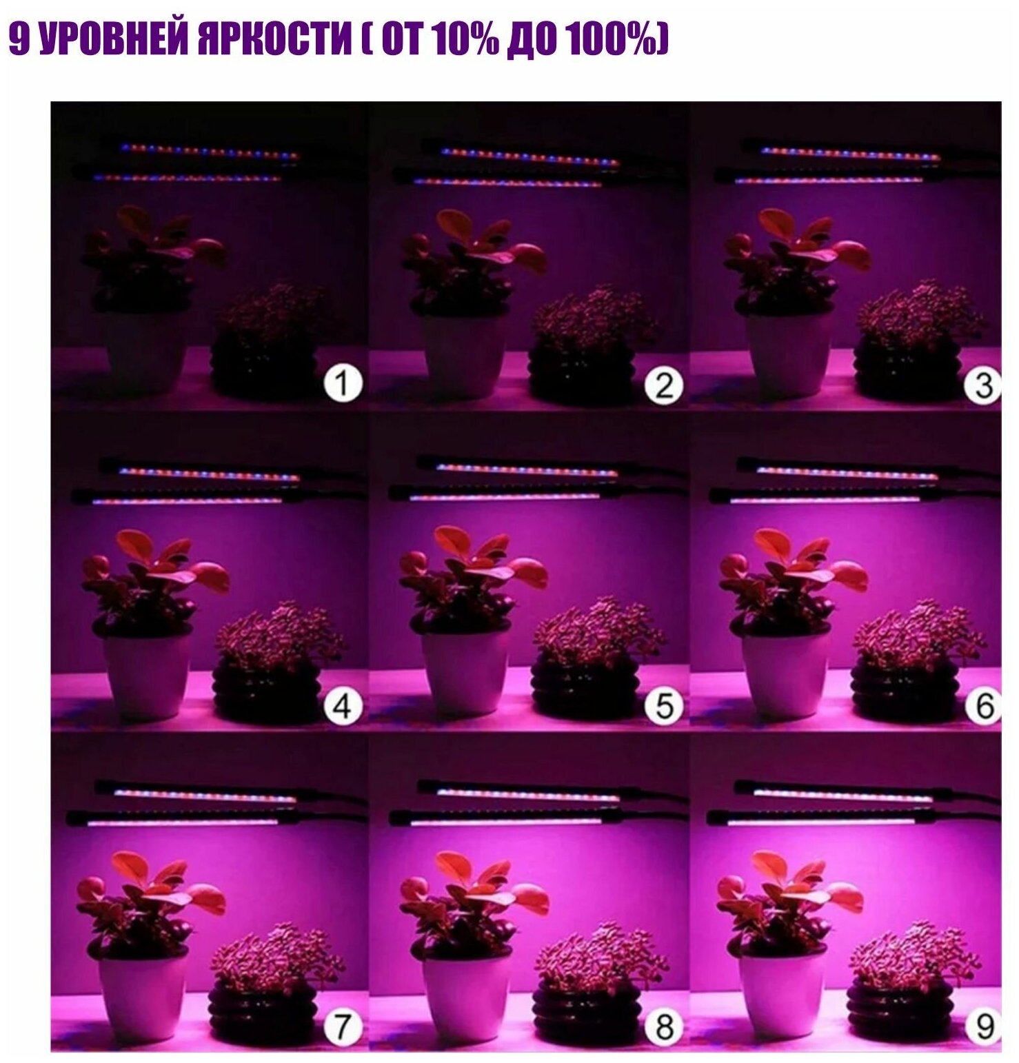 Фитолампа светодиодная, светильник для растений с креплением на штатив с резьбой 1/4’’, с пультом на проводе и пультом ДУ, 4 панели - фотография № 6