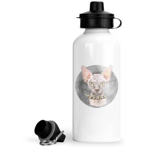 Спортивная бутылка Кошки Сфинкс в ошейнике с шипами спортивная бутылка кошки сфинкс в короне