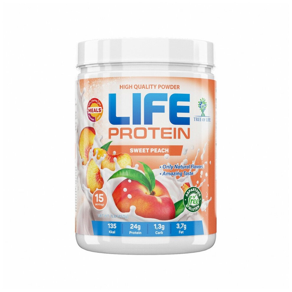LIFE Protein 450 gr, 15 порции(й), черника и ежевика