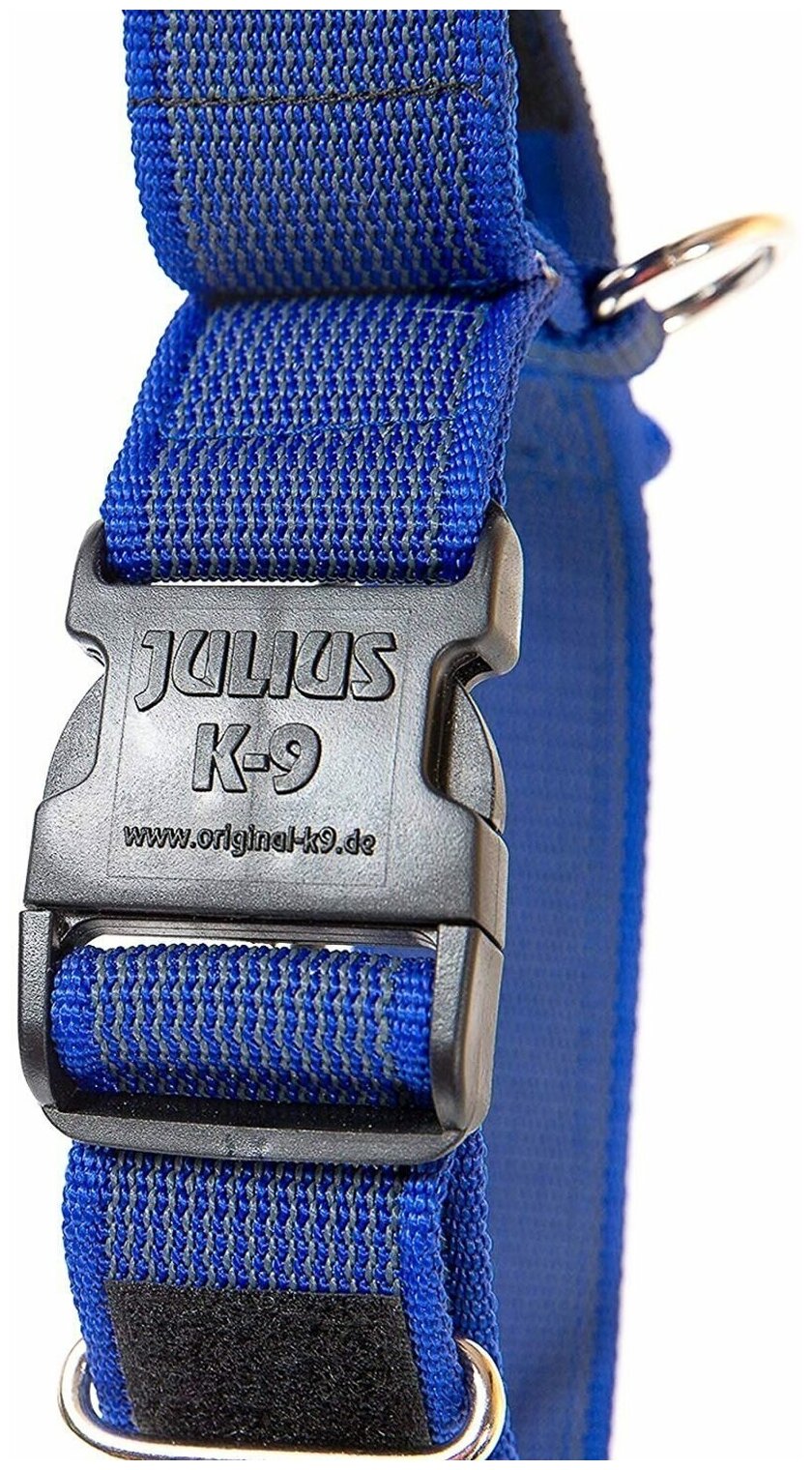 Ошейник для собак JULIUS-K9 Color & Gray (38-53см/4см), с закрытой ручкой, сине-серый - фотография № 3