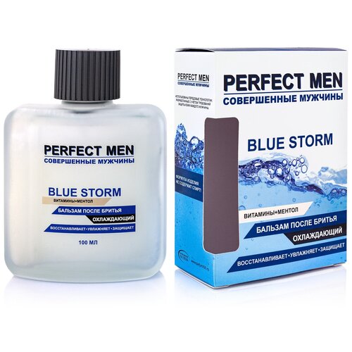 Парфюмерия XXI века Мужской Perfect Men Blue Storm Бальзам после бритья 100мл парфюмерия xxi века мужской perfect men ultramarine набор лосьон после бритья 100мл шампунь 250мл