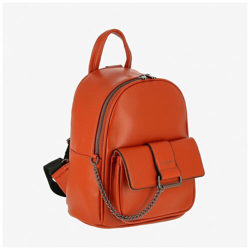 фото Рюкзак городской david jones 6707-3 f.yellow