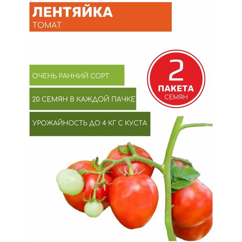 Томат Лентяйка 2 пакета по 20шт семян томат шапка мономаха 2 пакета по 20шт семян