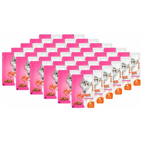 Мурчик для взрослых кошек с мясное ассорти в соусе (75 гр х 35 шт)