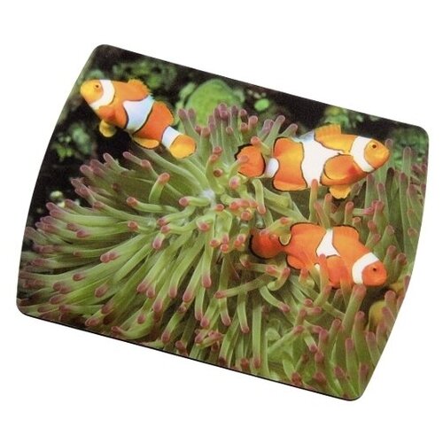 Коврик для мыши Hama Mousepad "Clownfish" (H-50259)