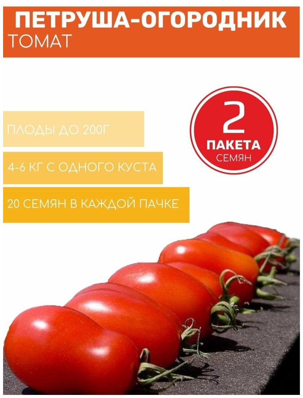 Томат Петруша-Огородник 2 пакета по 20шт семян