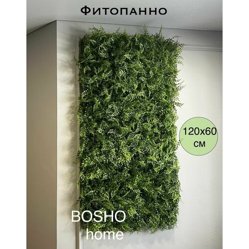 Фитостена из декоративных растений модульная дисхидия 120х60 см 3899₽