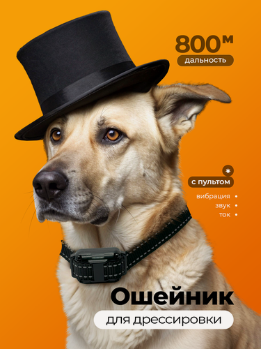 Изображение товара Электронный дрессировочный ошейник с функцией вибрации электрошока и звуковым сигналом SuperPets