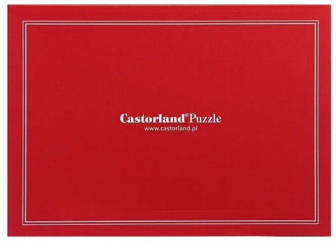 Puzzle-1000 Кошачий пляж Castorland - фото №6