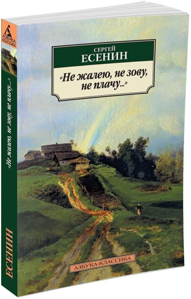 Книга Не жалею, не зову, не плачу.