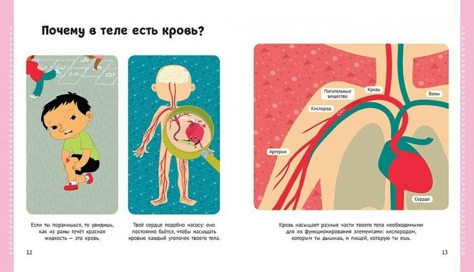 Энциклопедия для малышей (Чернышова-Орлова Екатерина О. (переводчик)) - фото №20