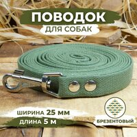 Поводок брезентовый для собак, Длина 5м, Ширина 25мм