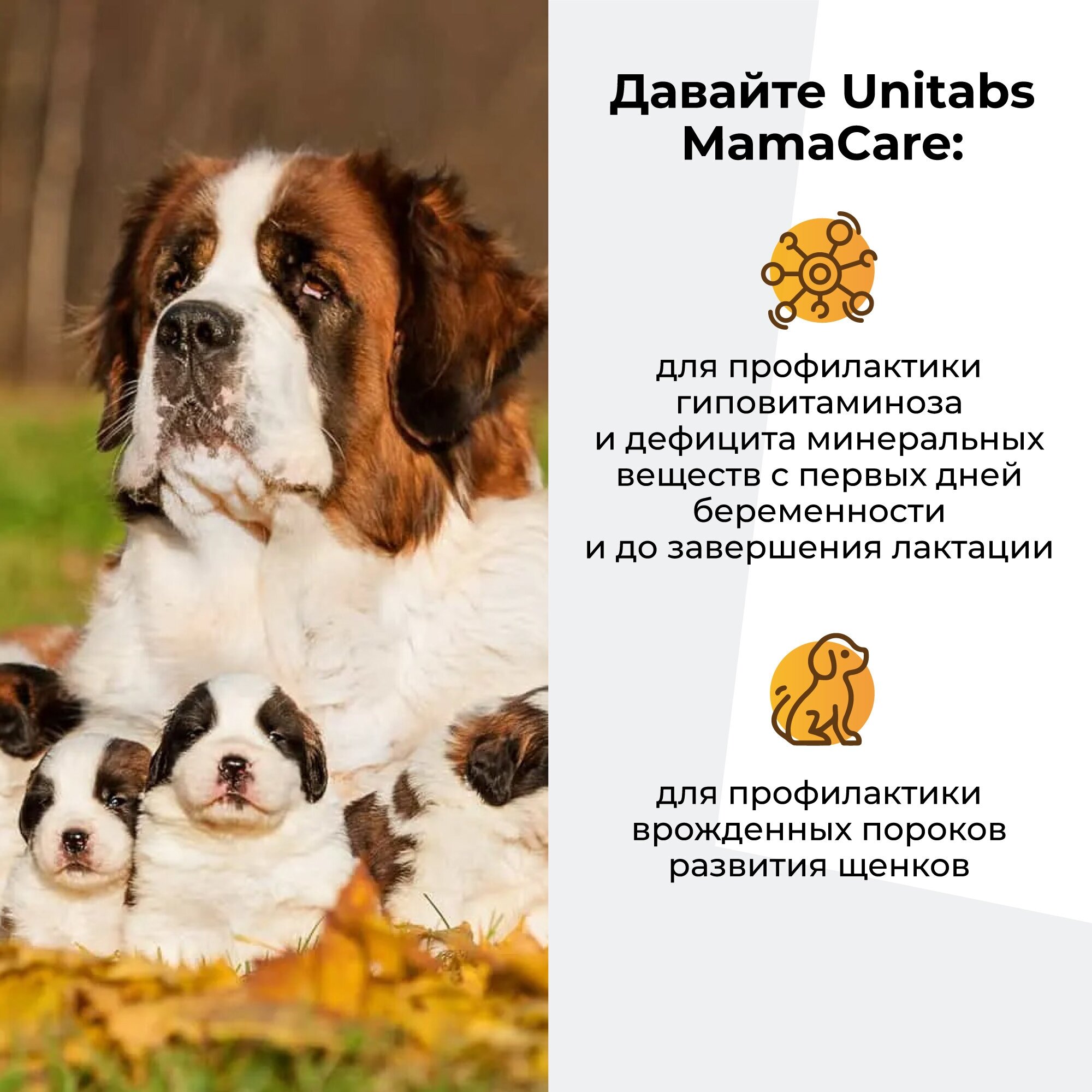 Витамины для взрослых собак Unitabs МамаCare c B9, 100таб - фото №10
