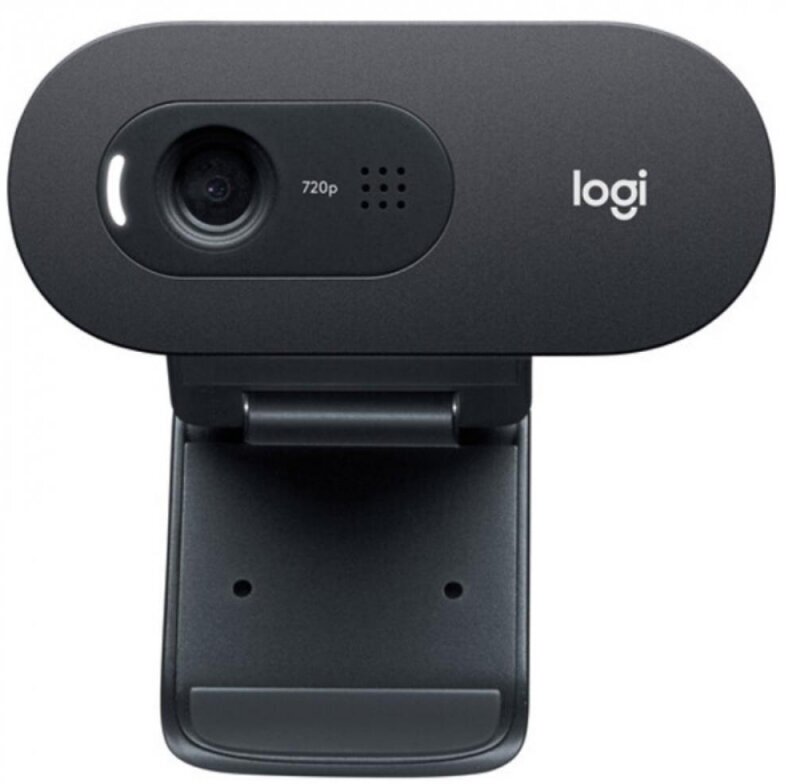 Веб-камера Logitech C505 HD Webcam (960-001364)