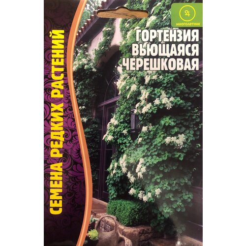 Семена Гортензии вьющейся черешковой (20 семян)