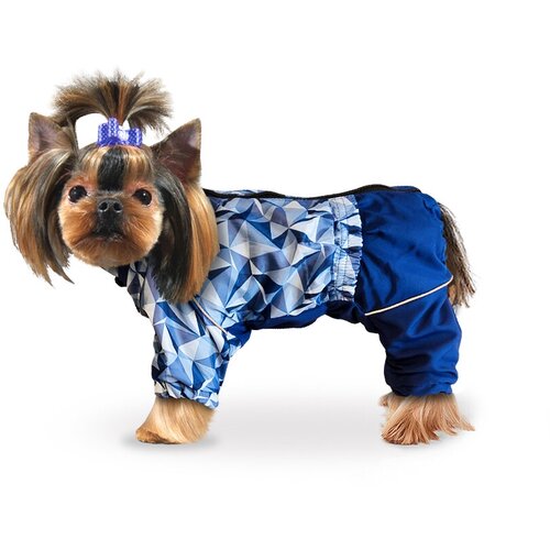 Дождевик на молнии комбинезон Актив одежда для собак Zootrend, мелких пород размер М унисекс