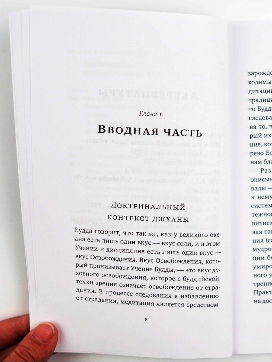 Джханы в тхеравадинской буддийской традиционной медитации - фото №4