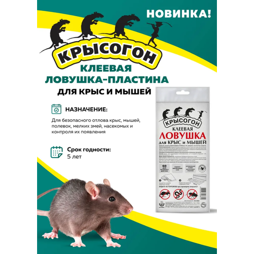 Крысогон Клеевая ловушка-пластина для мышей и крыс