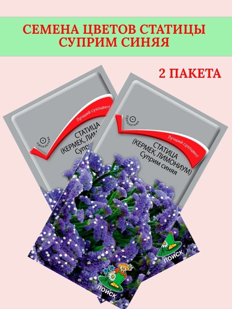 Семена цветов статица Суприм синий 4г (2 шт.)