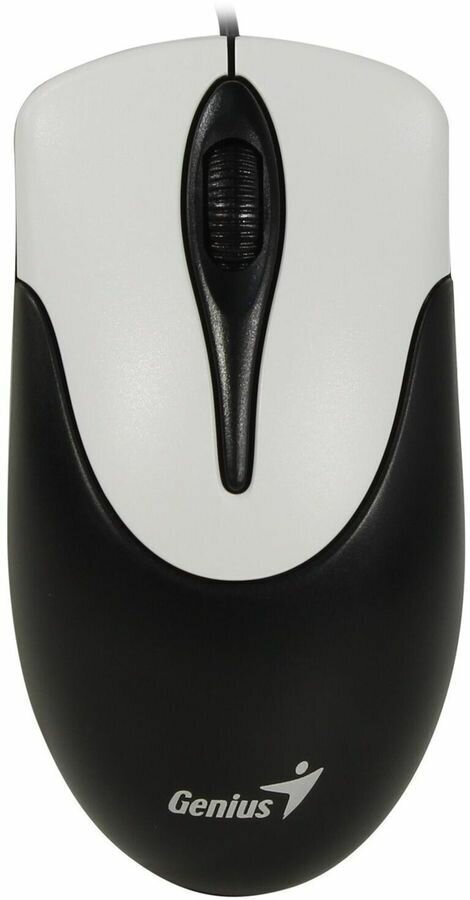 Мышь NetScroll 100 V2, USB, чёрный/серебристый (black, optical 1000 dpi, подходит под обе руки) new package Genius - фото №1