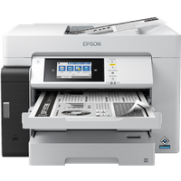 МФУ струйное EPSON M15180 (112)