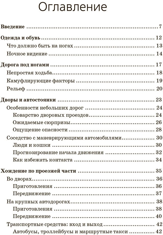 Безопасность пешеходов (Хайкевич Юрий Адольфович) - фото №4