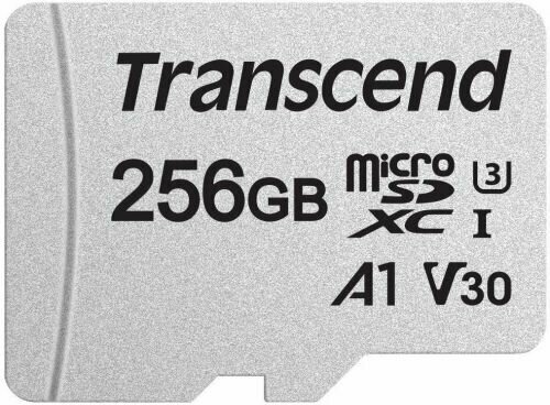 Карта памяти Transcend microSDXC 256 ГБ Class 10, V30, A1, UHS-I U3, R/W 100/40 МБ/с, адаптер на SD, серебристый - фотография № 10