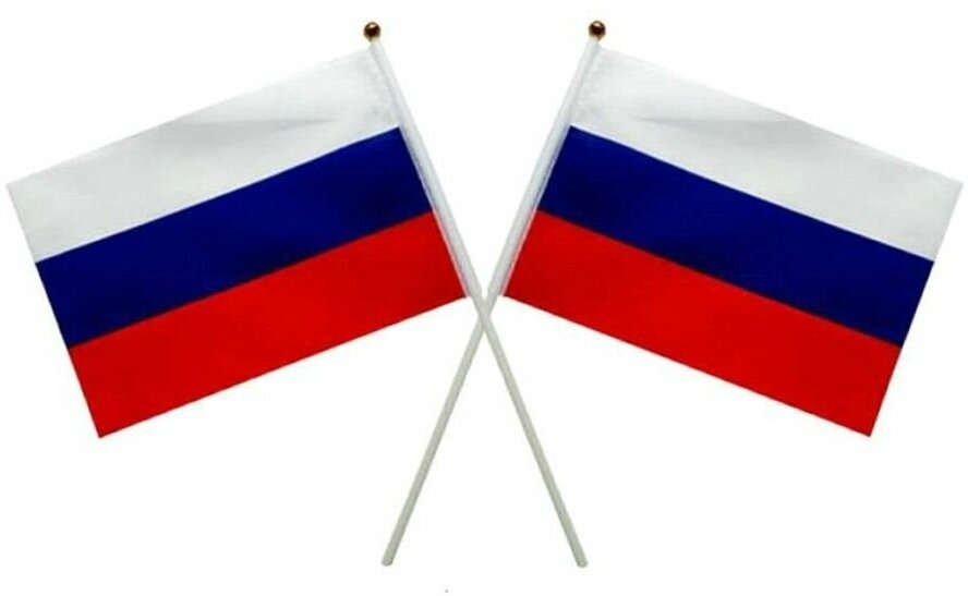 Флаг России 14x21 см на палочке, набор 12 штук, триколор