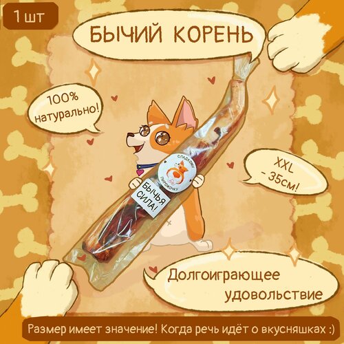 Бычий корень, 1 шт. - 35 см, 70 грамм, лакомства, вкусняшки для собак