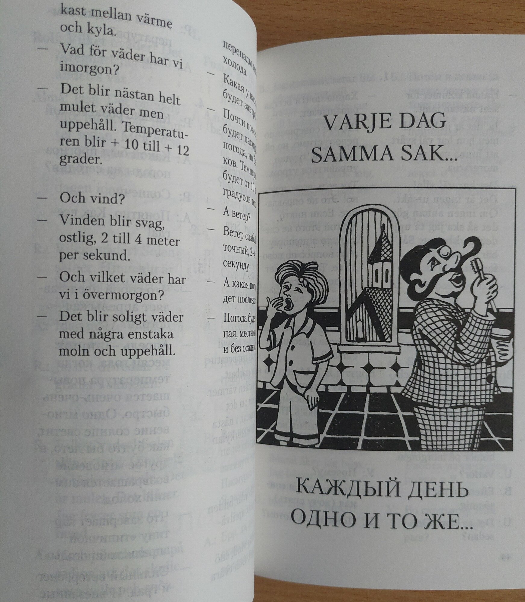 Разговорный шведский в диалогах - фото №10