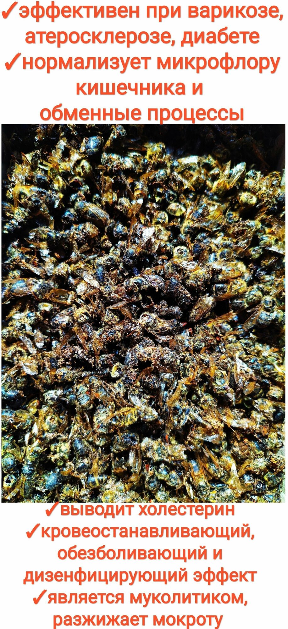 Пчелиный подмор 100 гр, сушёный, натуральный, premium1 - фотография № 2