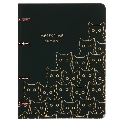 Тетрадь на кольцах А5, 100 листов в клетку MESHU Amazing cats, обложка мелованный картон, матовая ламинация, выборочный УФ-лак