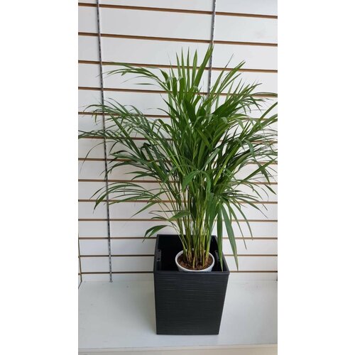 Кашпо пластиковое с системой автополива. Размер 30х30хН30 см.