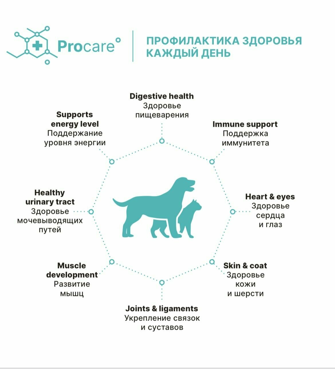 Сухой корм для котят, беременных и кормящих кошек Premier при склонности к аллергии, с индейкой 2000 г — фото 1