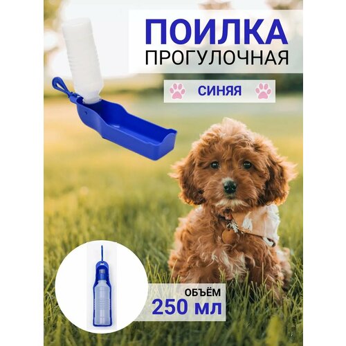 Поилка прогулочная 250 мл, синяя, 7414653