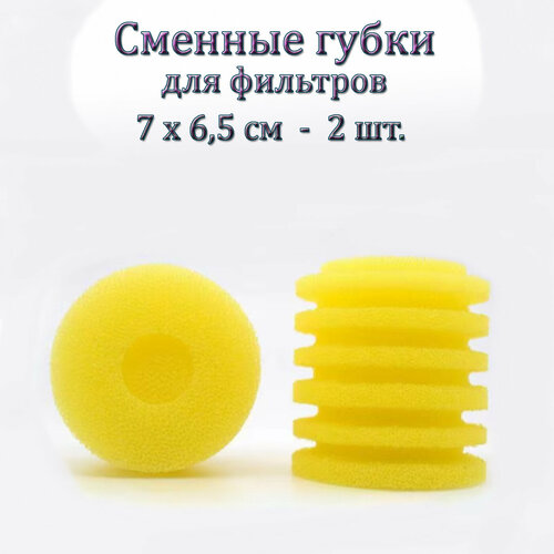 Губка аквариумная крупнопористая для фильтров: BARBUS, SOBO, SEA STAR, FERONIA и др, 7х6,5 см, 2 шт.