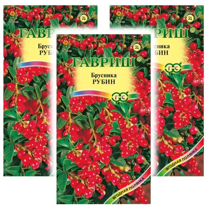 Комплект семян Брусника Рубин х 3 шт.