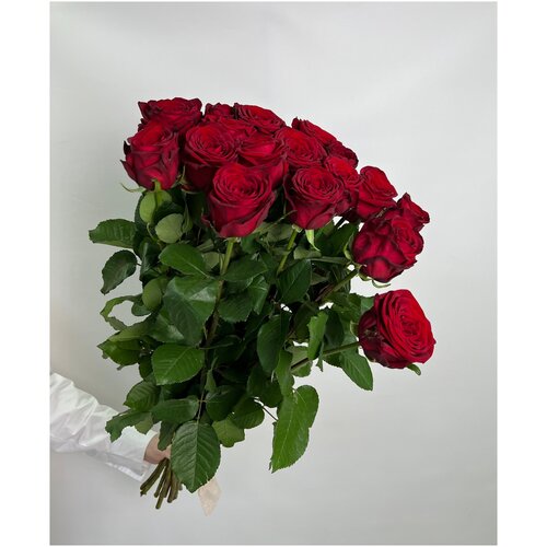 Роза красная Ред Наоми 17 шт 60 см