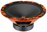 DL Audio Barracuda 200