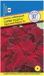 Семена/ Престиж Семена/ Семена цветов колеус гибридный радуга красный бархат F1