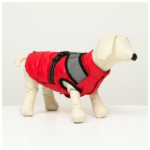 Одежда для животных. Куртка для собак со светоотражающей шлейкой, размер 12, красная, 1 шт.