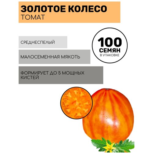 Тыква Мускат де Прованс 2 пакета по 5шт семян семена тыква мускат де прованс f1 5шт