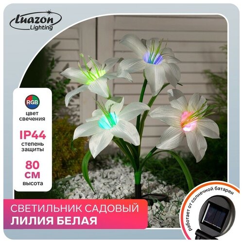 Садовый светильник на солнечной батарее «Лилия белая», 75 см, 4 LED, свечение мульти (RGB)