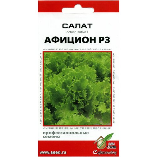 Салат Афицион РЗ, 20 семян салат гранд рапидс 420 семян