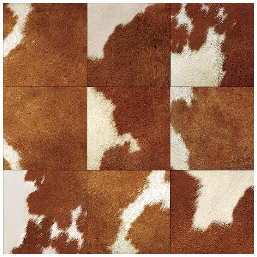 фото Обои 1401-3 Alessandro Allori Esotiche