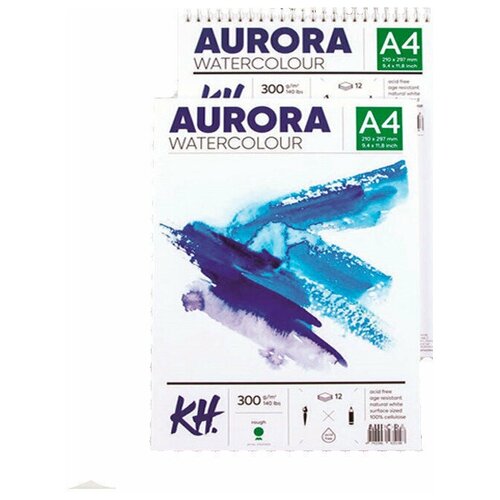 Комплект Альбом-склейка для акварели Aurora Rough, 300г/м2, целлюлоза 100%, А5, 12 листов, 2 шт.