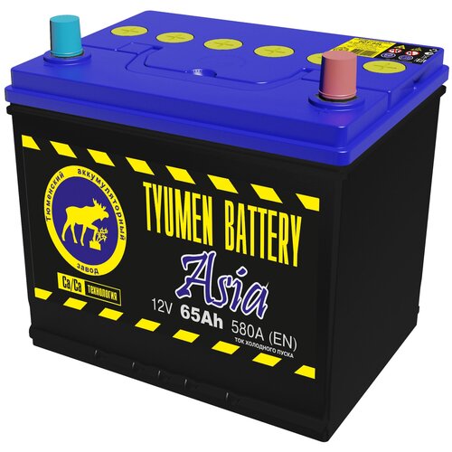 Аккумулятор автомобильный 65ач Азия/TYUMEN BATTERY/пусковой ток 580A (EN)/размеры 230х172х221 мм./обратная полярность